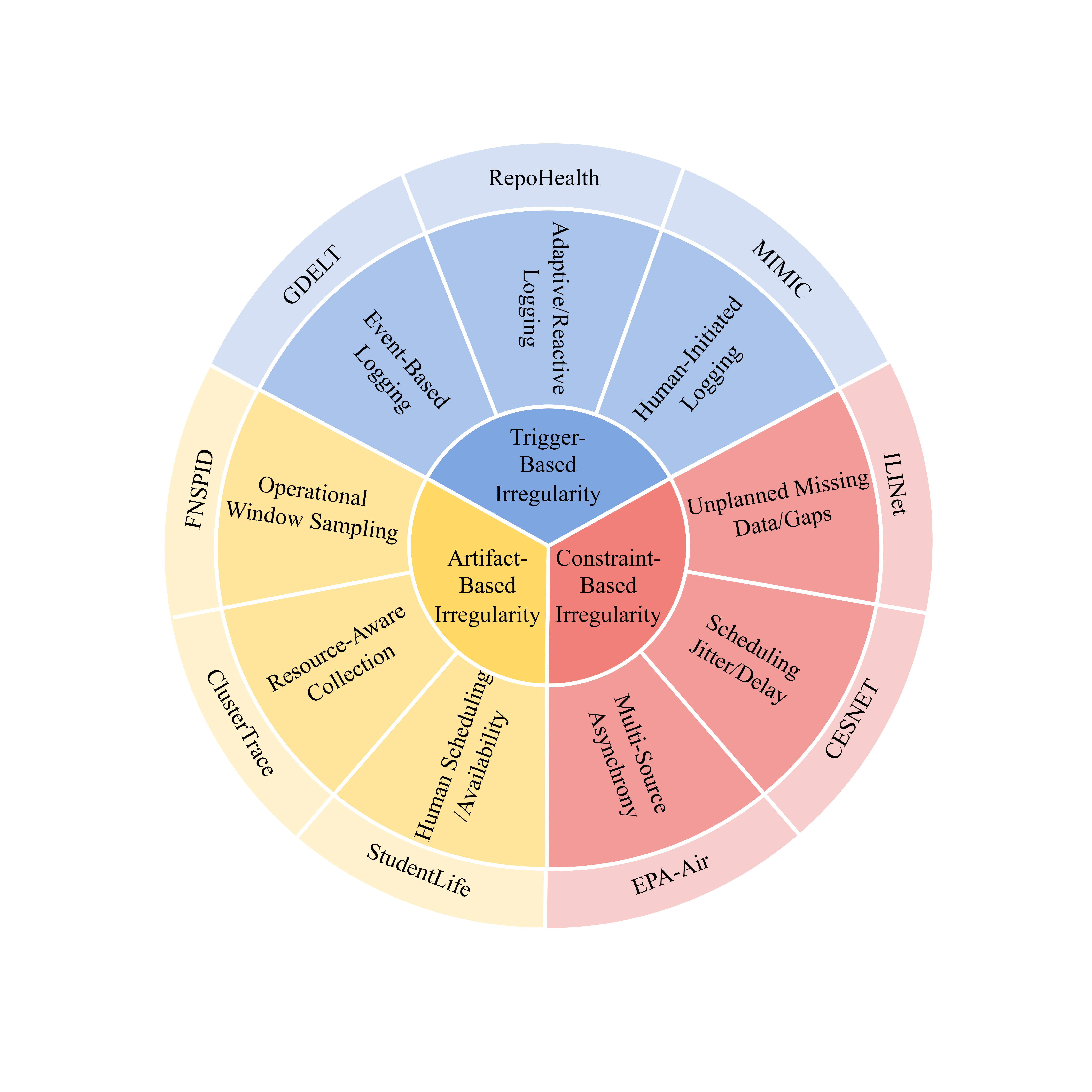 Time-IMM taxonomy of irregularities